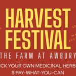 Families enjoying the Awbury Harvest Festival in Cheltenham.