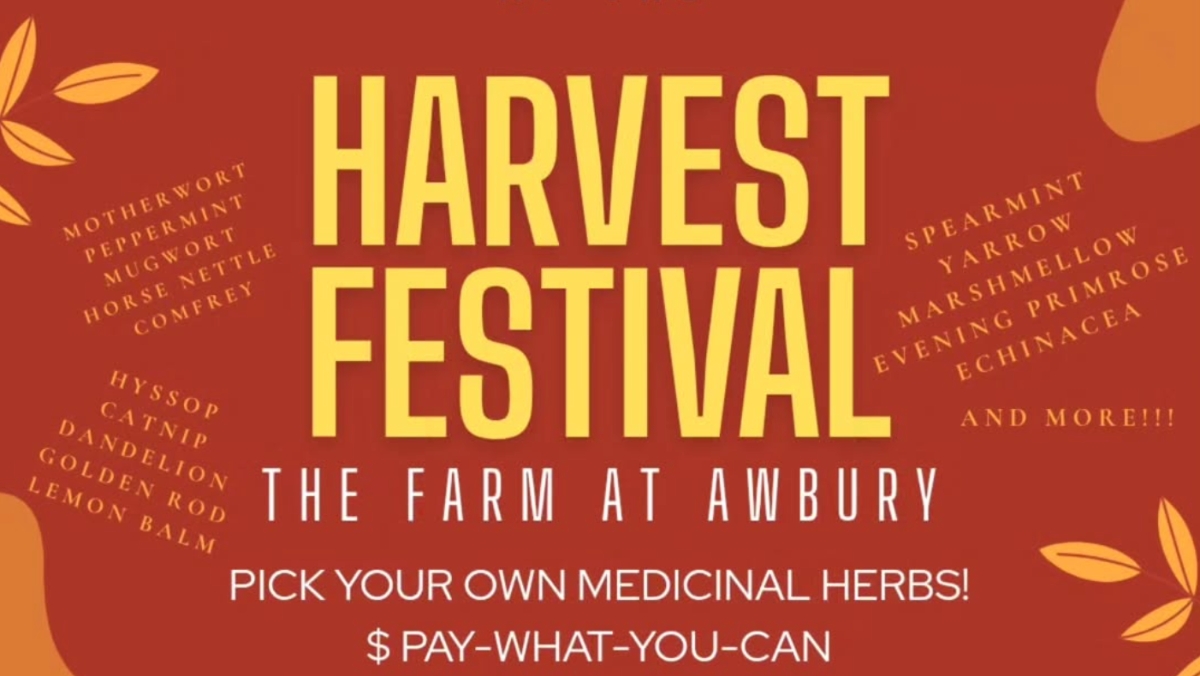 Families enjoying the Awbury Harvest Festival in Cheltenham.